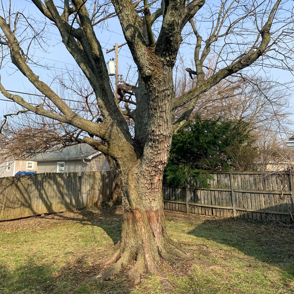 Swing Set Removal Service Junk Masters Inc. Junk Removal